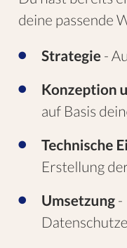 Elementor Icon Liste Vorher